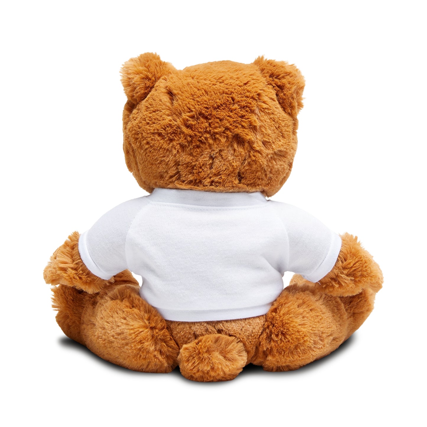 I Care Teddy Bear with T-Shirt